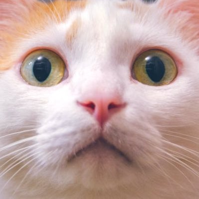 るんるるん