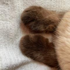 日常とかなんとか