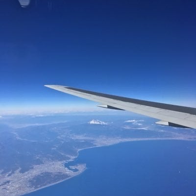 坊主っぽい