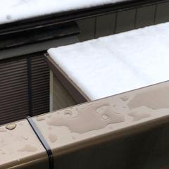 ฅ狼月(カミヅキ)