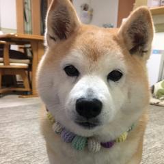 くろちゃんのトーク