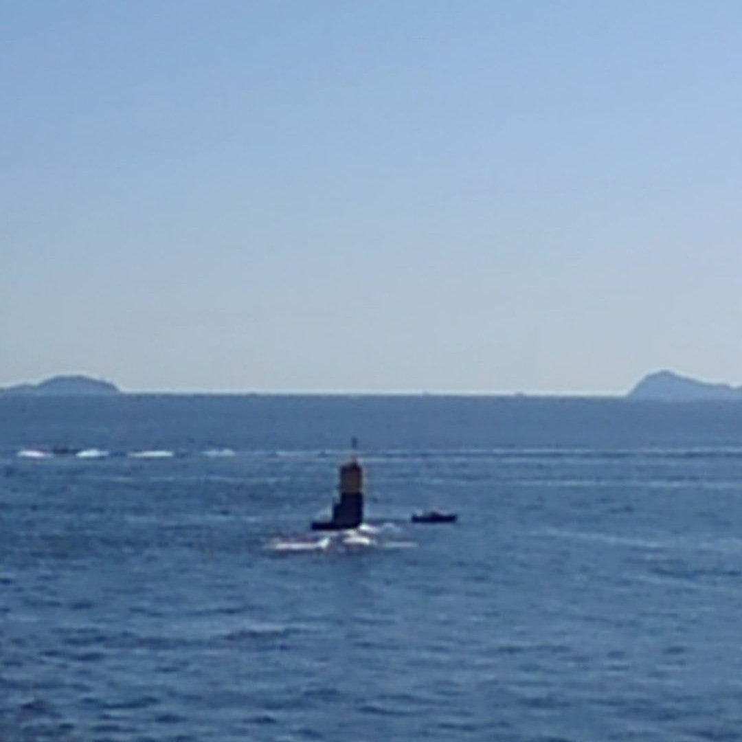 のぶハセプロのトーク