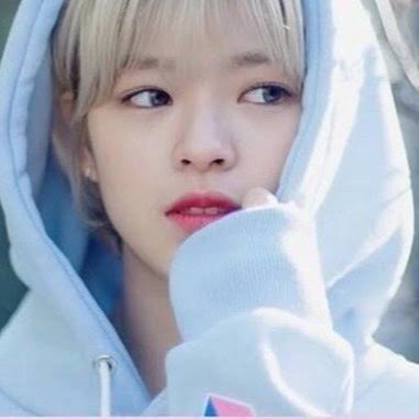 유 정연