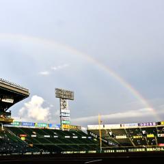 ayuminの虎トーク