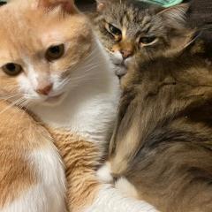 ひかりちゃん♡