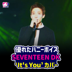優れたハニーボイス SEVENTEEN DK カバー
