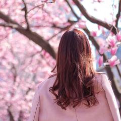 キャプテン・アクア