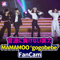 音源に負けない実力 MAMAMOO ‘gogobebe’
