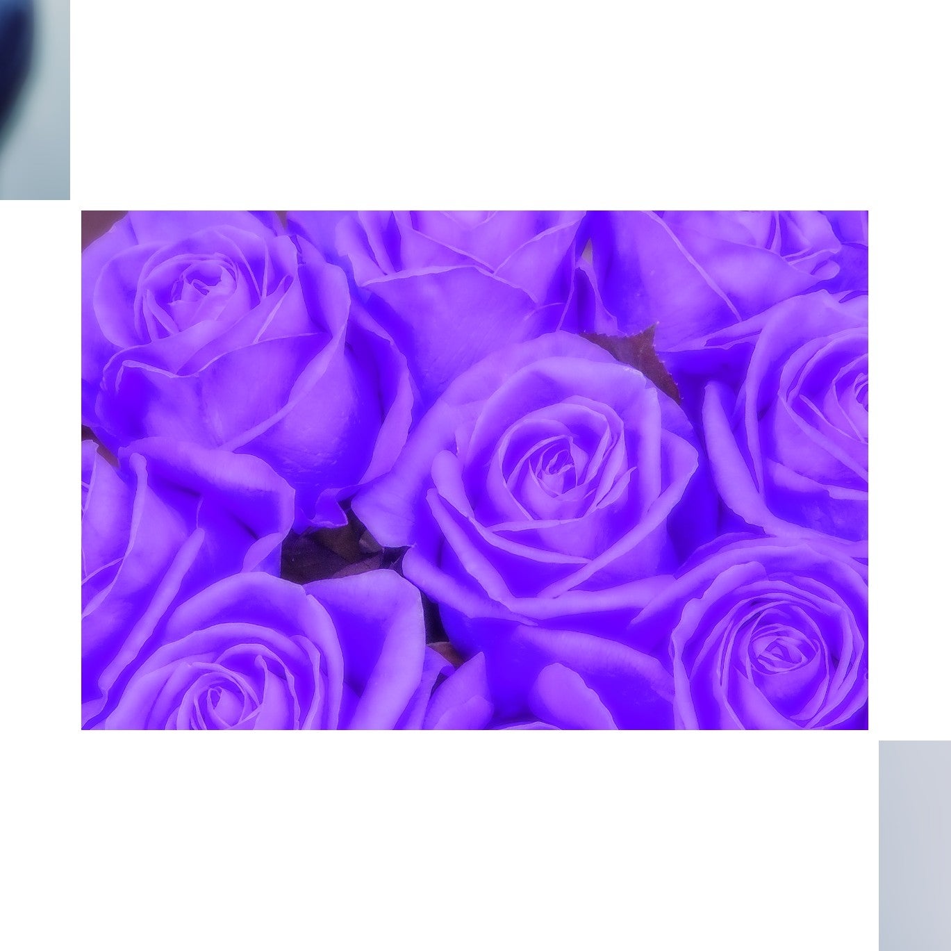 (っ'-')╮ =͟͟͞͞🍊ﾌﾞｫﾝ