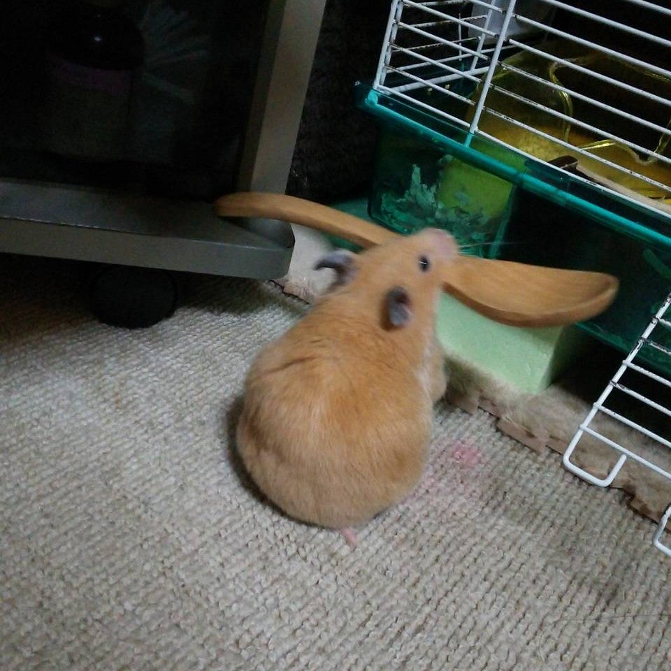 ﾏｷｨcrewのトークｽﾃｰｷ