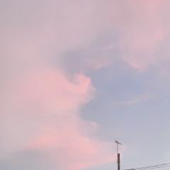 Moemi(˙꒳˙ )