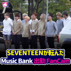 SEVENTEENが転んだ Music Bank 出勤