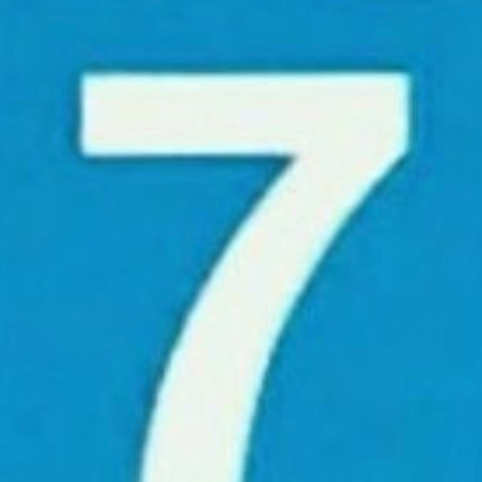 summer switzer 3