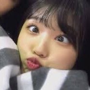 ほりりん🐓