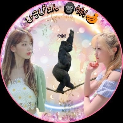 ひろぴょん🌸🍓🐧🧚‍♀️ ³¹⁹のトーク