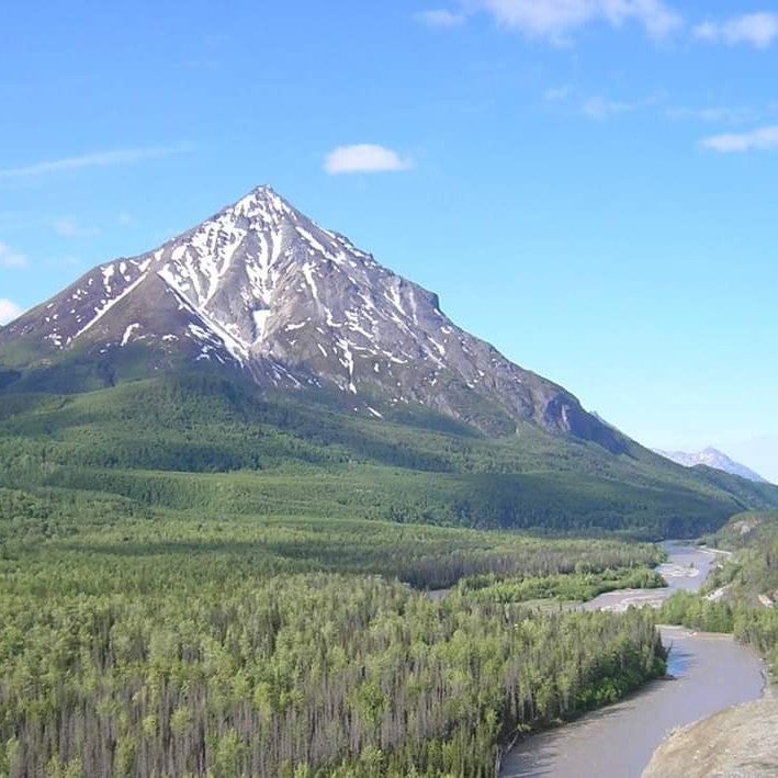 日々他愛ない出来事を誰も心を痛めない呟き