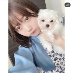 ぺん