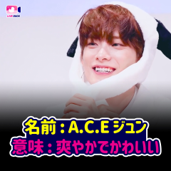 名前：A.C.E ジュン 意味：爽やかでかわいい