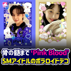 骨の髄まで’Pink Blood’ SMアイドルのポラロイドデコ