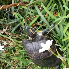 独り言ルーム！！