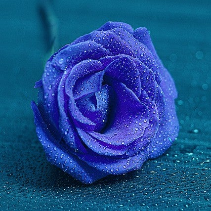 ＡＫＢGもろもろ💖