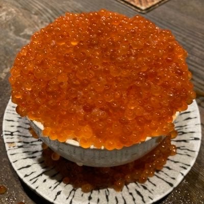 mugibashira46のトーク