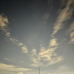 チビまゆのトーク