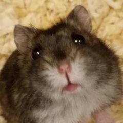 Kちゃん