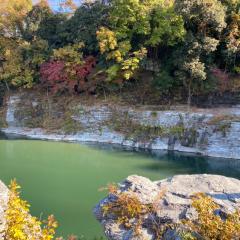 だいだいのトーク