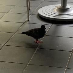 バチャはしの便所以下の落書き