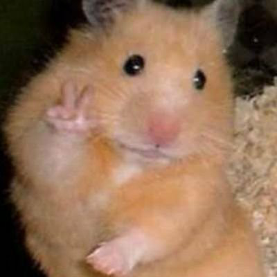 アダモのトーク