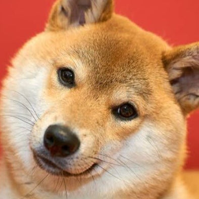 牛