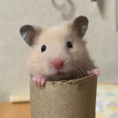 ユイ