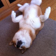 カシンのトーク