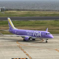 黄色ちび猫（元小型機パイロット✈️）