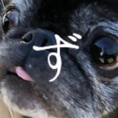 ずー
