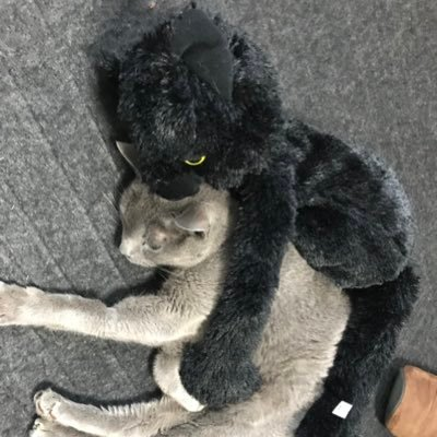 みかん