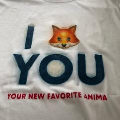 きつね🦊