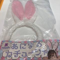 めいどりーみんおたくりょうすけ