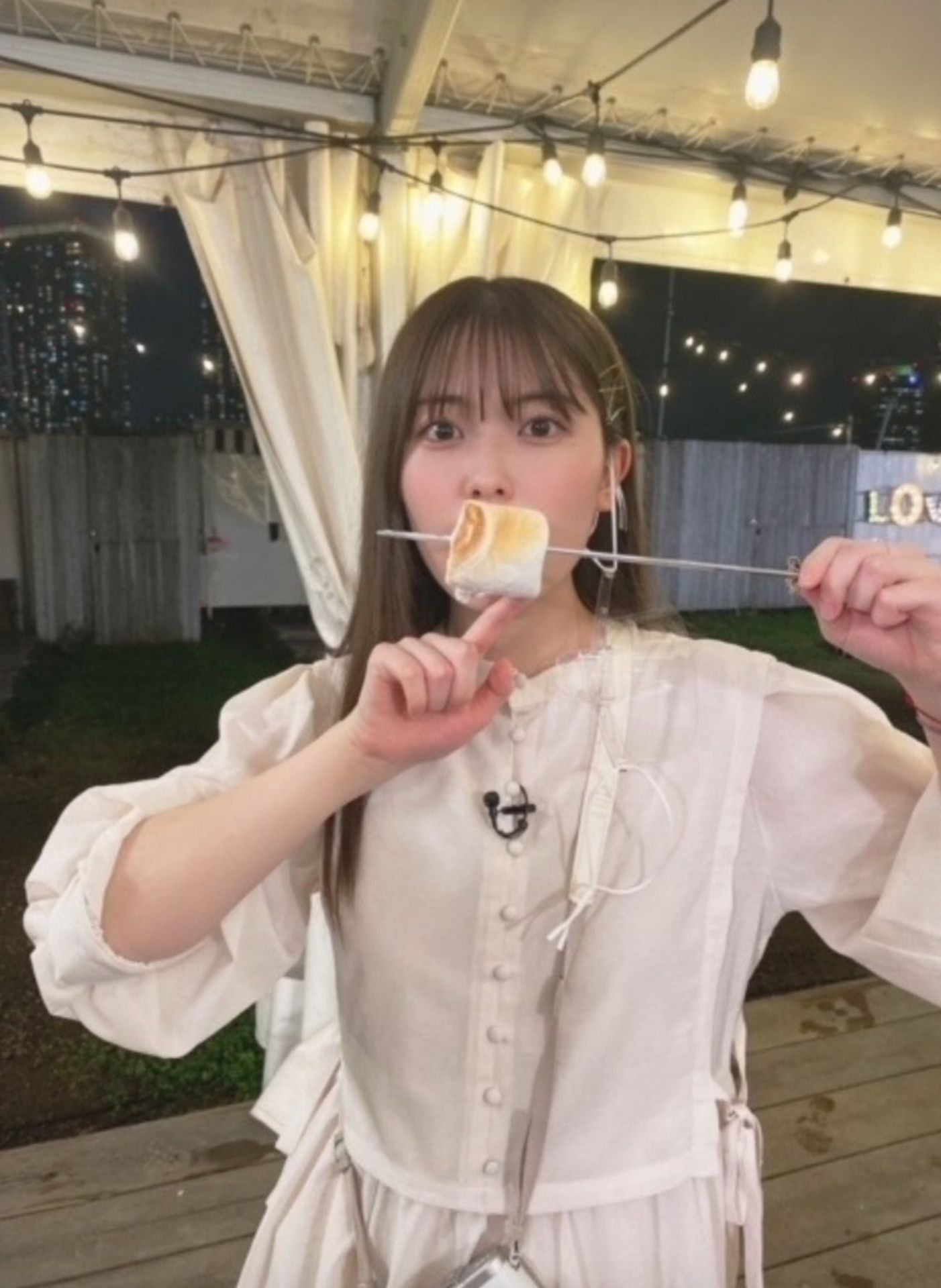 ๆ็จฟ็ปๅ