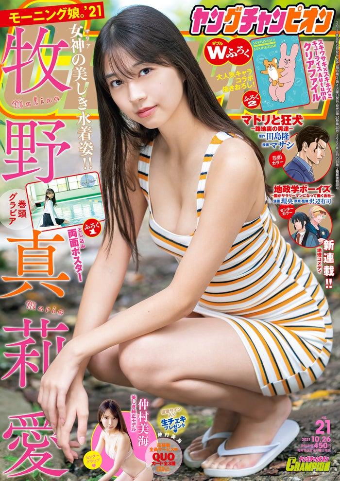 ニュース画像