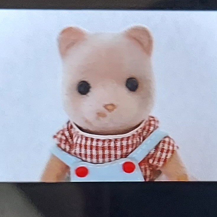 鈴木シルバニア