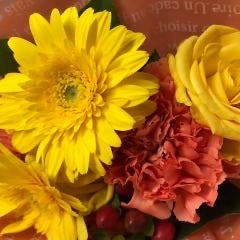 夕飯メニューおぼえがき日記