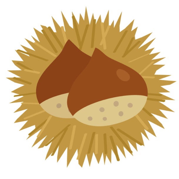 いがぐりらいおん