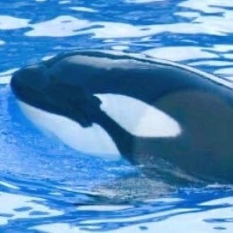 長くて読みづらい脳内