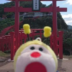 しまやん