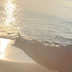 田中 美久