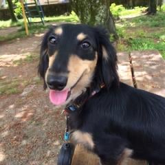 Twitter(連携投稿)用。