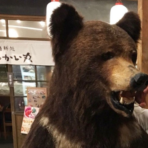 くーさん