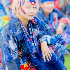 柴犬参上